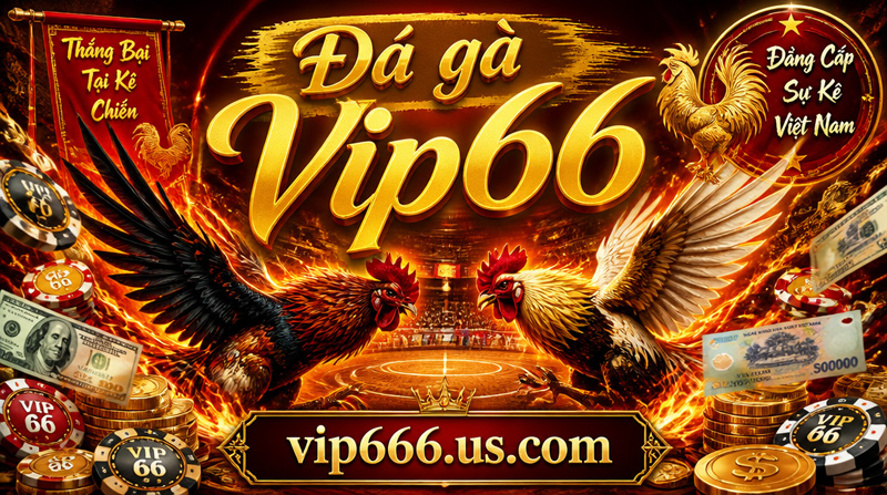 Đá gà Vip66 -3